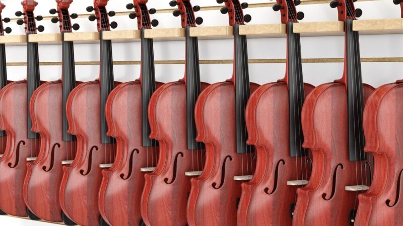 Rozmiary skrzypiec – jak dobrać odpowiedni instrument dla początkujących