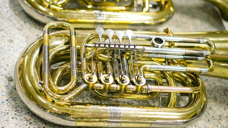 Stroiki do instrumentów dętych: jak wybrać najlepszy stroik do saksofonu altowego